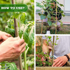 25pcs 1/2" D Thicker Heavy Duty Bamboo Stakes, 4FT Plant Stakes, Natural Garden - Image 7