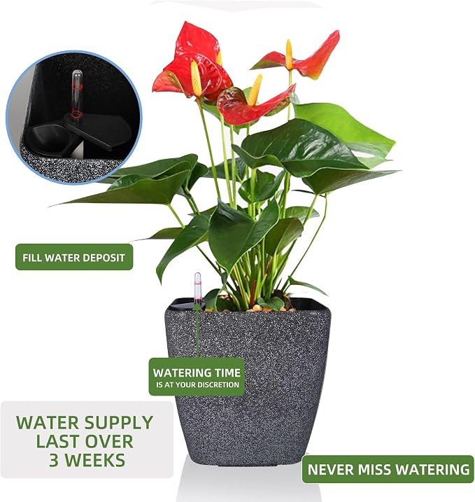 Dexceder 15x14 Self Watering Planter - Image 5