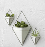 Umbra Trigg Hanging Planter Vase Wall Decor, Faux Plants, and More - Image 14