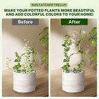 Small Trellis for Potted Plants Indoor - Image 6