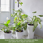 Grevosea 14 Inch Trellis for Climbing Plants Indoor, Plant Trellis Indoor Small - Image 5