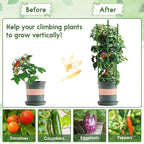 Riare 6 Pack 5.2 FT Tomato Cages - Image 6