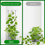 2 Pack 30'' Plant Trellis for Climbing Plants Indoors, Metal Garden Trellis for - Image 2