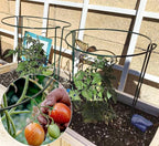 TCBWFY 10 Pack Garden Plant Support Stakes, Plant Supports - Image 8