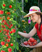 6 Pack Tomato Cages for Garden, 51in*13in Adjustable Tomatoes Plant Stakes - Image 9
