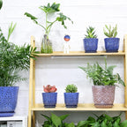 Gepege Succulent Pots, 4 Inch Small Indoor Ceramic Planter Pot - Image 6