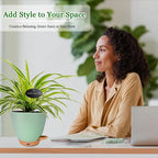 6 Inch Self Watering Pots for Indoor Plants – Small Plastic Planters - Image 4