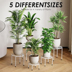 5-Pack Metal Plant Stands for Outdoor Indoor, Anti-Rust Iron Flower Pot Stand - Image 3