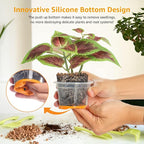 MIXC Thickened Clear Nursery Pots - Image 3