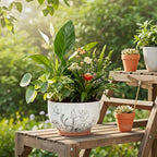 YBX 8 Inch & 6 Inch Terracotta Pots, Plant Pots, Flower Pots - Image 4
