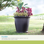 Suncast 3 Pack Wicker Planter w/Drillable Drain Holes, Decorative - Image 4