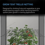 AC Infinity Grow Tent Trellis Netting 3x3', Heavy-Duty Elastic Plant Net - Image 2