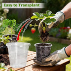 MIXC Clear Nursery Pots with Drainage Holes, 5/4/3.5 Inch Reinforced - Image 4