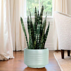 10 Inch Ceramic Plant Pot with Drainage – Large Flower Pot - Image 7