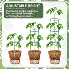 36 Pack Plant Support Stakes Sets - Image 3
