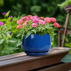 G EPGardening 6 Inch Plant Pot - Image 4