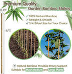 Bamboo Stakes, 4FT Natural Bamboo Garden Stakes, BOVITRO 25Pcs Plant Stakes - Image 4