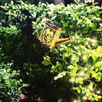 Solar Watering Can Lights, Outdoor Garden Decor, LED Waterproof String Light - Image 3