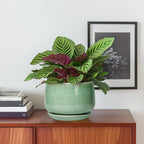 G EPGardening Ceramic Pots for Plants - Image 2