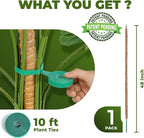 48 Inch Bendable Moss Pole Monstera Plant Support - Image 2