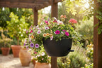 Hanging Planters, Matte Plastic Planters - Image 4