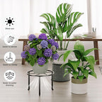 5 Pack Metal Plant Stands Anti-Rust Iron Heavy Duty Potted Holder - Image 4