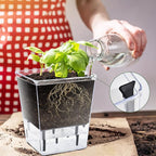 Self Watering Pots Set, 3 Pack 5 Inch - Image 7