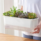 FAMZ Self Watering Pots for Indoor Plants 3 Pack Transparent Rectangular - Image 5