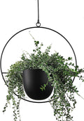 Hanging Planter for Indoor Outdoor Plants Metal Mid Century Minimalist Wall by ABETREE