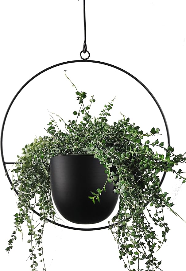 Hanging Planter for Indoor Outdoor Plants Metal Mid Century Minimalist Wall by ABETREE
