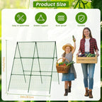 Cucumber Trellis, Foldable Trellis Cucumber - Image 2