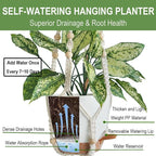 Set of 3 Hanging Planters for Indoor Plants - Image 3