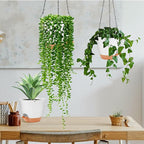 GARDIFE hanging planter, 8 inch hanging planters - Image 6