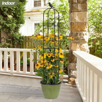 Garden Obelisk Trellis for Climbing Plants Outdoor - Image 4
