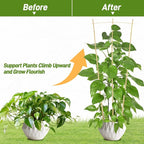 Avalution 10 Pack Bamboo Trellis - Image 4