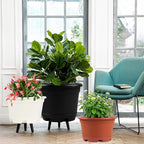 Outdoor Flower Pots 5 Packs 13 inch pots - Image 5