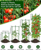 Tomato Cage for Garden, 6 Pack Tomato Trellis for Raised Garden Bed Height - Image 2