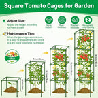 Legigo 4 Pack Square Tomato Cages - Image 2
