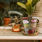 Abstract Face Planters Pots Head, Unique Head Planter - Image 6