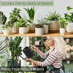 Plant Watering Can, 35oz Metal Watering Can, Stainless Steel Indoor Plants - Image 4