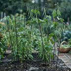 4 Pack 43'' Indoor Plant Trellis - Image 5