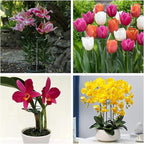 Joyhalo 20 Pack Plant Support Stakes 36 Inches, Plant Stakes, Flower Stakes - Image 8