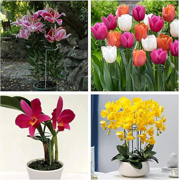 Joyhalo 20 Pack Plant Stakes, 16 Inch Plant Support Stakes, Flower Stakes - Image 7