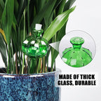 Self Watering Planter Insert. Plant Watering Devices. Plant Watering Bulbs. - Image 5