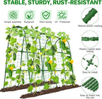 Cucumber Trellis for Raised Bed, U-Shape Garden Trellis for Climbing Plants - Image 4
