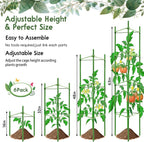 Riare 6 Pack 5.2 FT Tomato Cages - Image 3