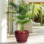 Ceramic Planter - Image 5