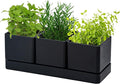 D'vine Dev Herb Garden Planter Set, Plastic Plant Pots by DvineDevPlanterPotsandStand