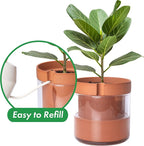 Phoenix Vine 8 Inch Self Watering Planter Pot, Terracotta Clay Pot - Image 4