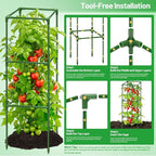Legigo 4 Pack Square Tomato Cages - Image 5
